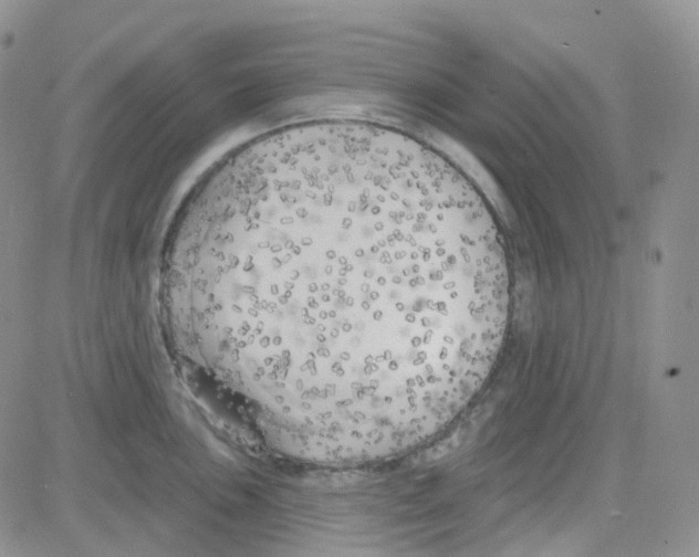 X0000082731051200702232342