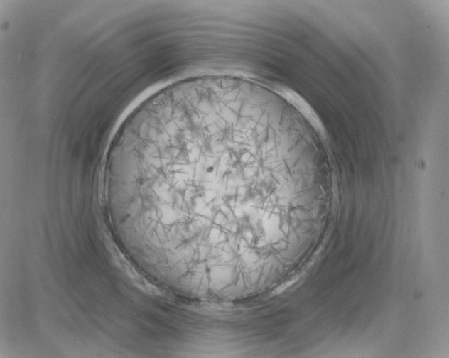 X0000082731052200702232342