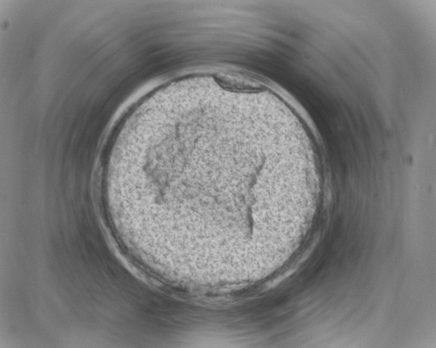 X0000082731053200702232342