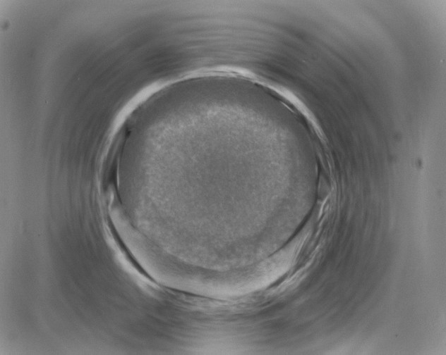 X0000082731054200702232342