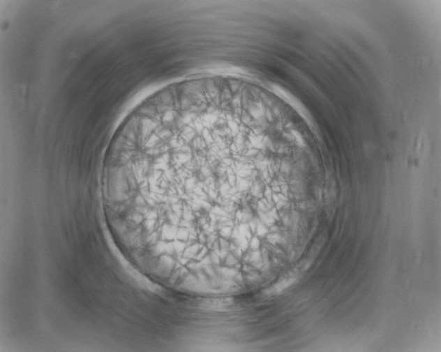 X0000082731055200702232342