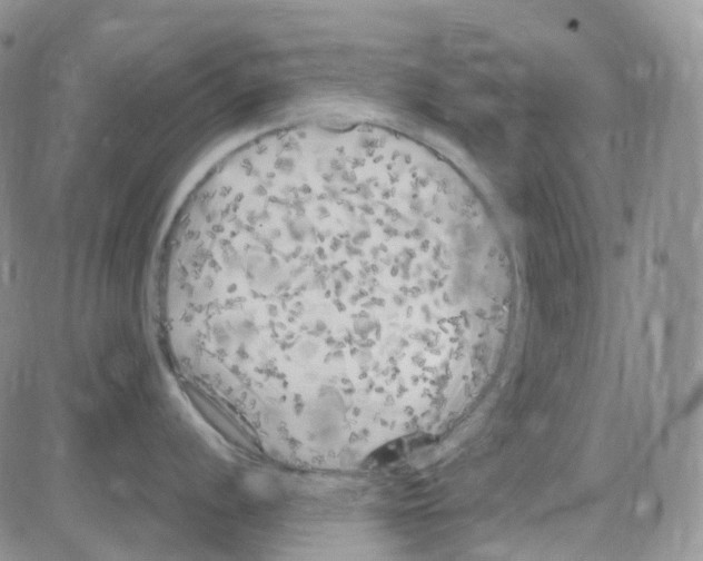 X0000082731056200702232342