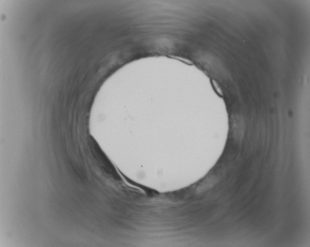 X0000082731057200702232341