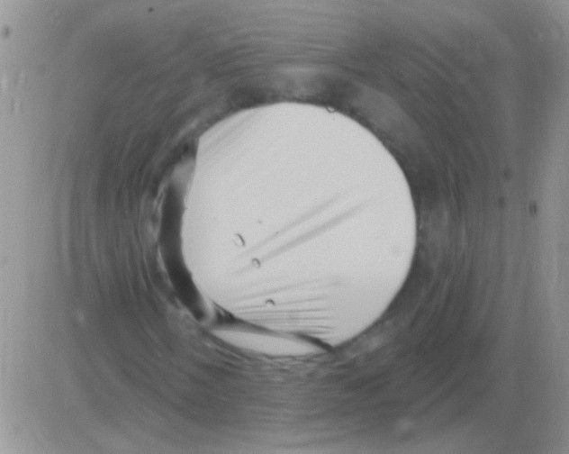 X0000082731058200702232341