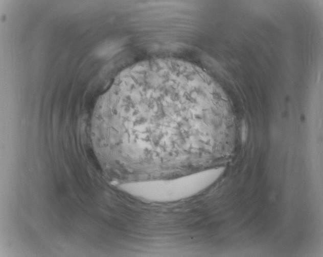 X0000082731059200702232341