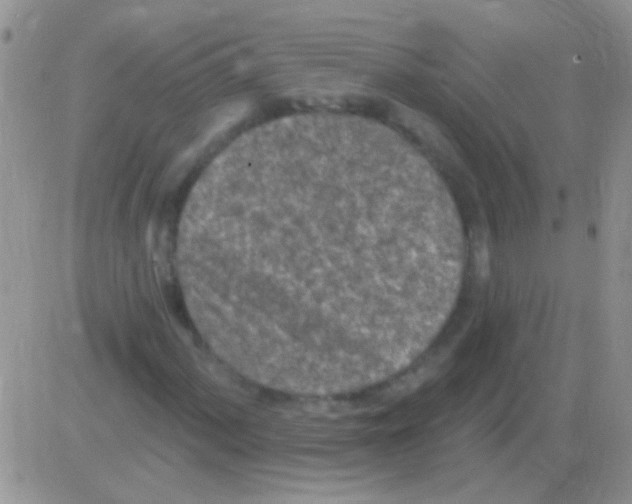 X0000082731060200702232341