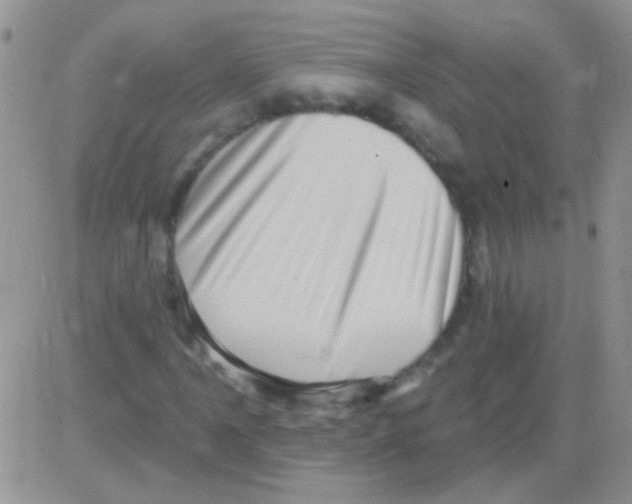 X0000082731061200702232341