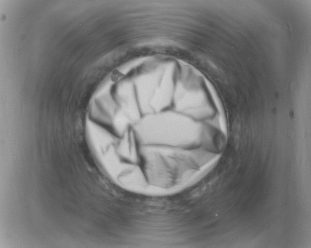 X0000082731062200702232341