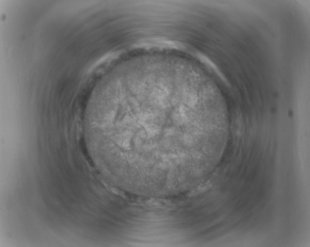 X0000082731063200702232341