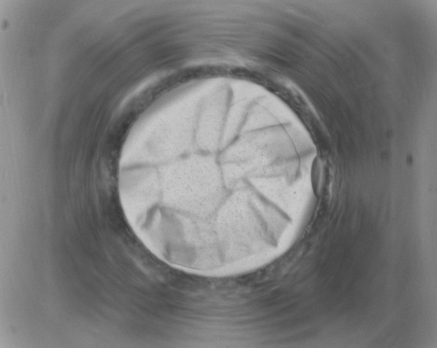 X0000082731064200702232341