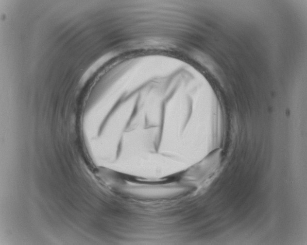 X0000082731066200702232341