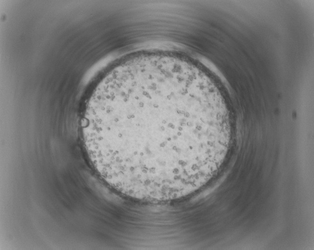 X0000082731067200702232341