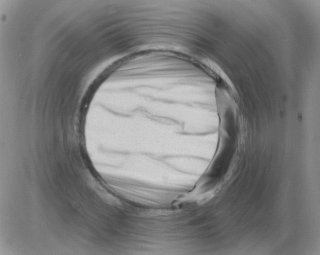 X0000082731068200702232341