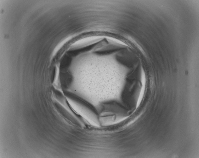 X0000082731069200702232341