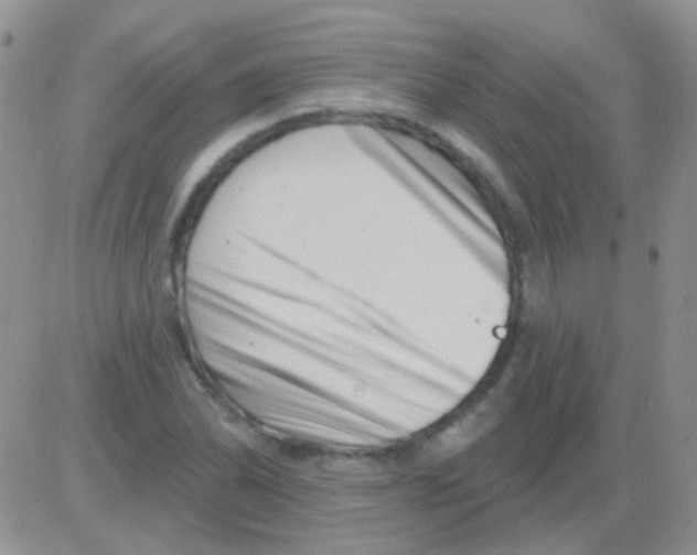 X0000082731070200702232341