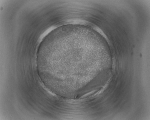 X0000082731071200702232341