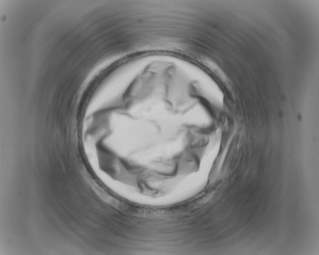 X0000082731072200702232341