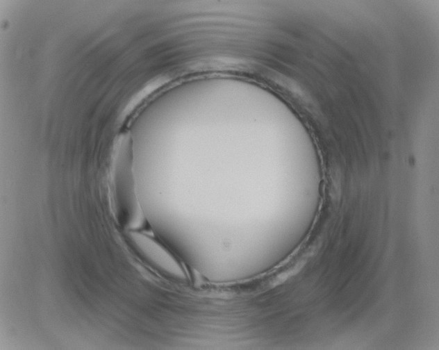 X0000082731073200702232341