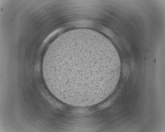 X0000082731074200702232341