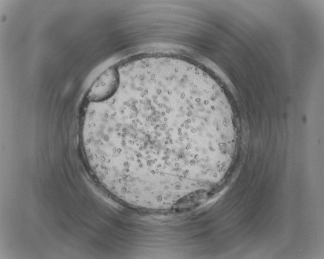 X0000082731075200702232341