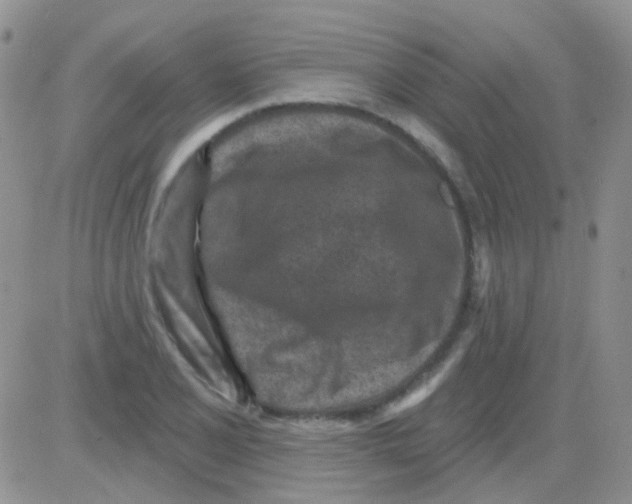 X0000082731077200702232341