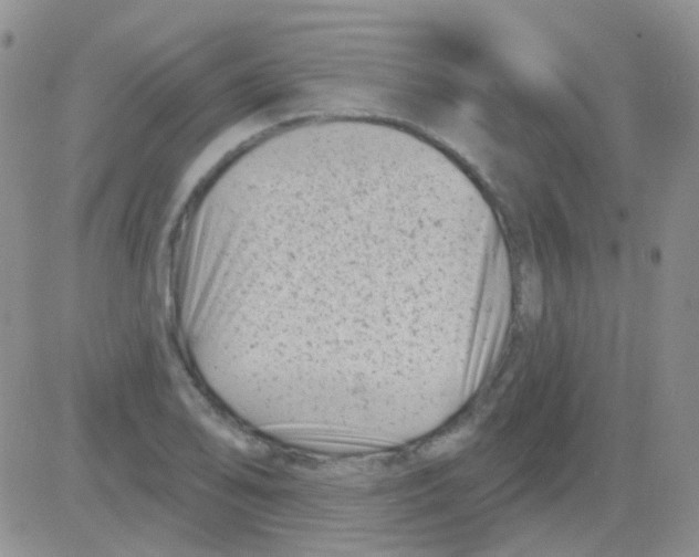 X0000082731078200702232341