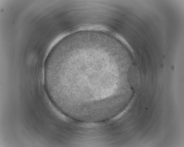 X0000082731079200702232341