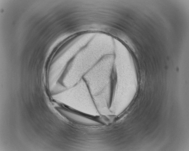 X0000082731080200702232341