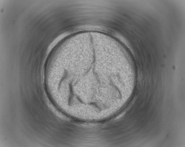 X0000082731082200702232341