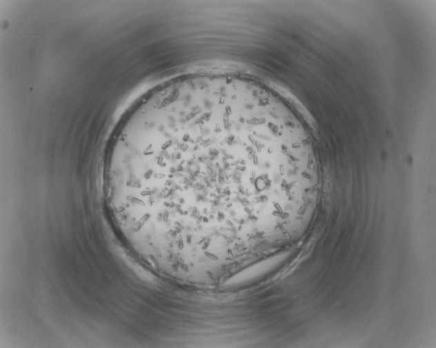 X0000082731083200702232341