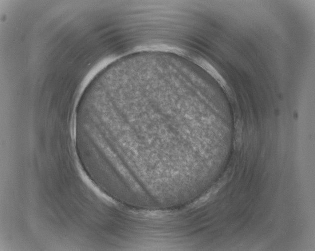 X0000082731084200702232341