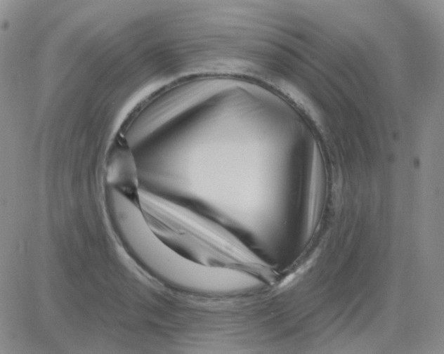 X0000082731085200702232341