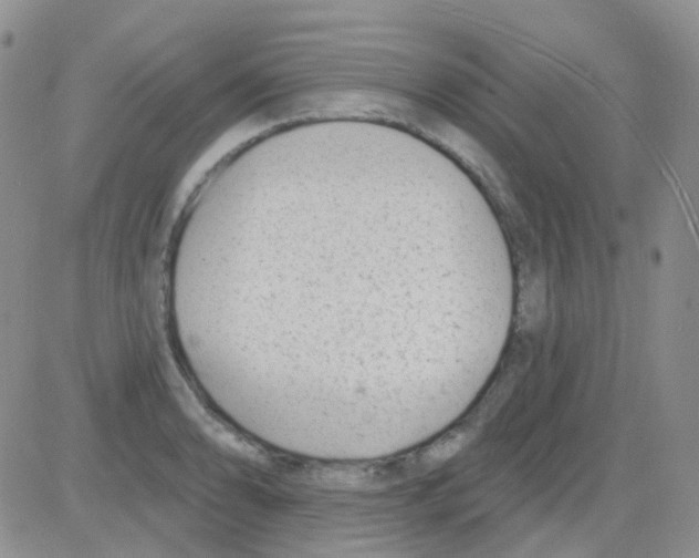 X0000082731086200702232341