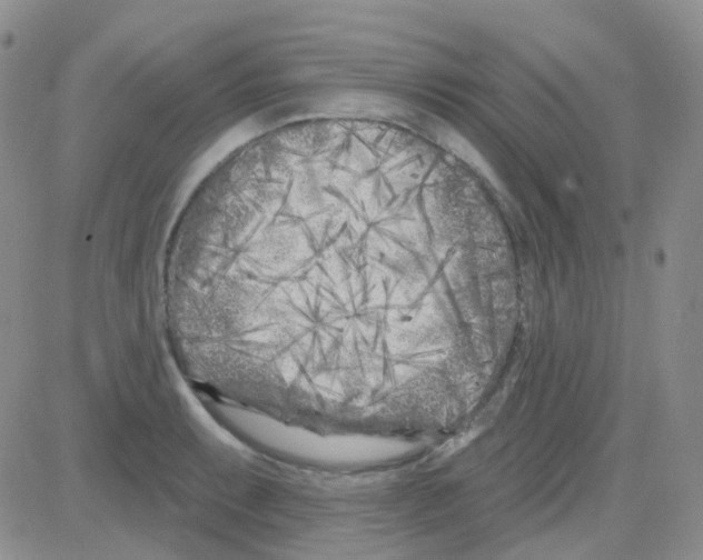 X0000082731087200702232341