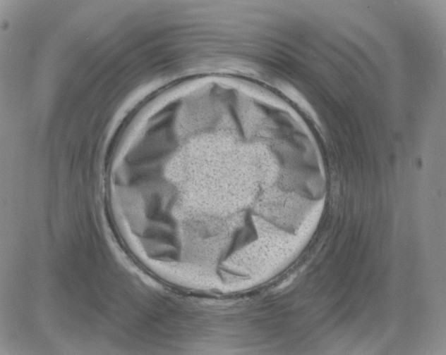 X0000082731088200702232341