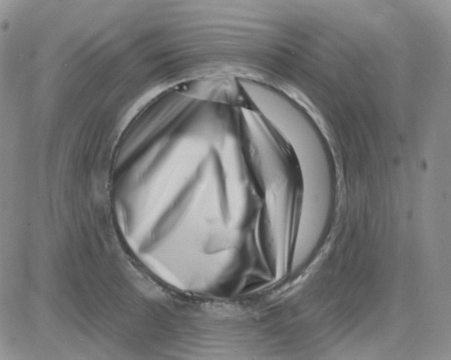 X0000082731089200702232341