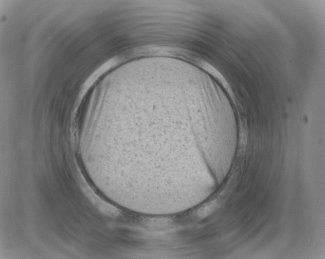 X0000082731090200702232341