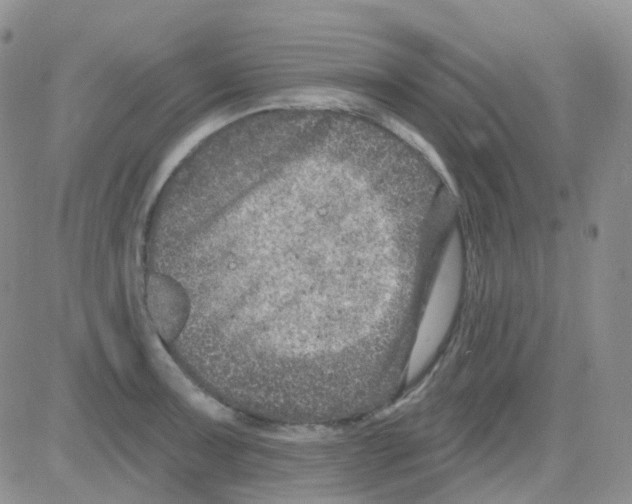 X0000082731091200702232341