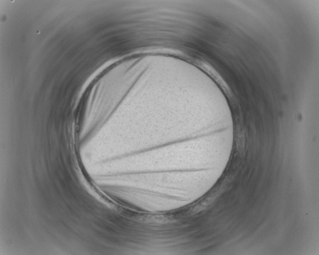 X0000082731092200702232341