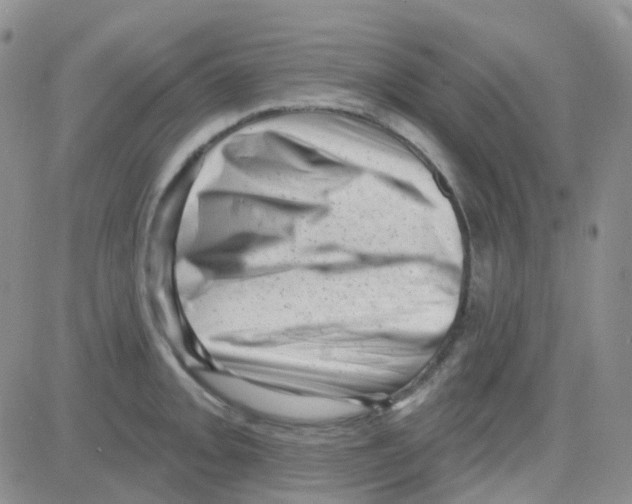 X0000082731093200702232341