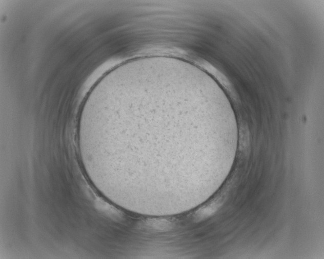 X0000082731094200702232341