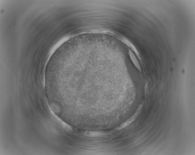 X0000082731095200702232341