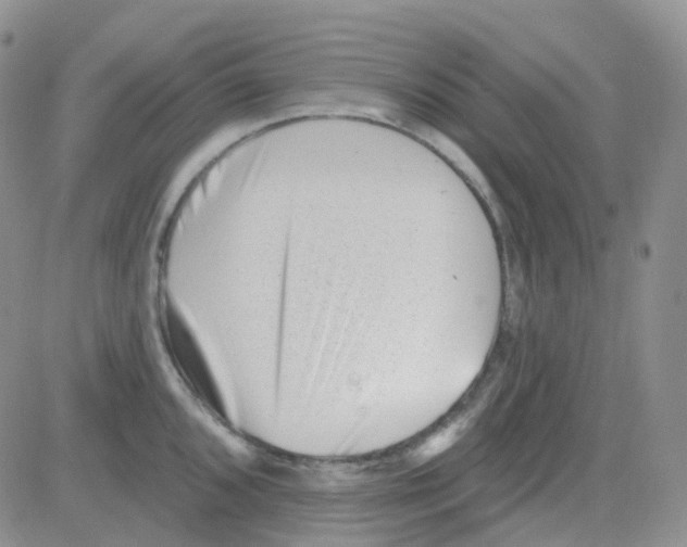 X0000082731096200702232341