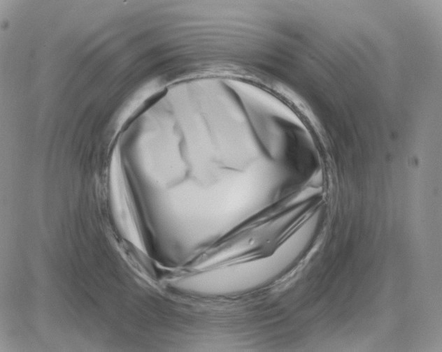 X0000082731097200702232341