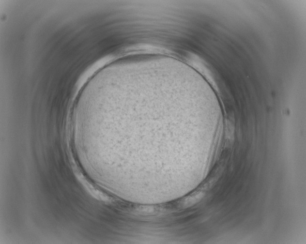 X0000082731098200702232341