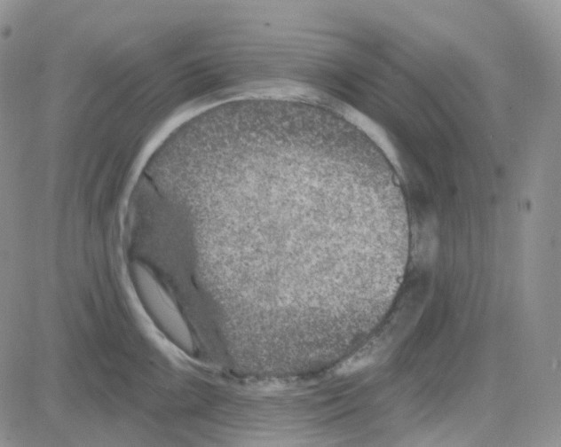 X0000082731099200702232341