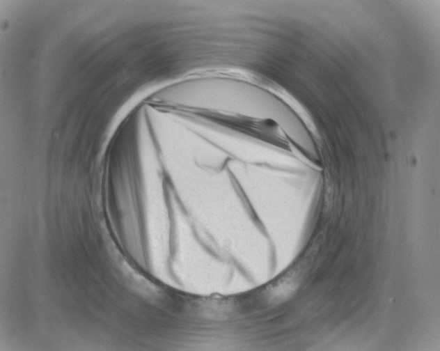 X0000082731102200702232341