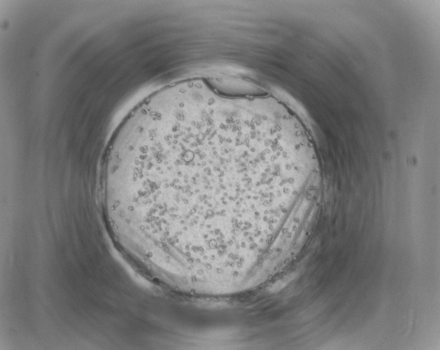 X0000082731103200702232341