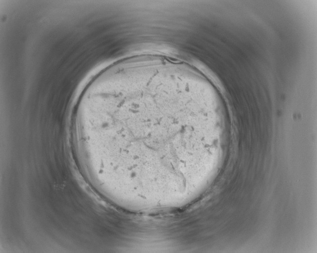 X0000082731104200702232341