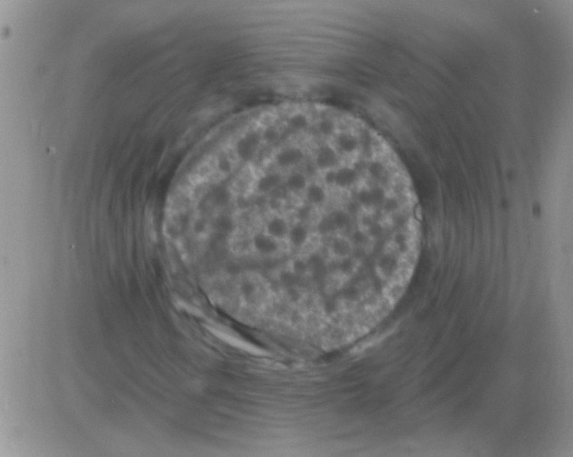 X0000082731106200702232340